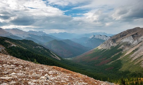 View into forested valley