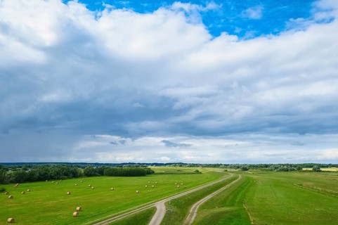 Elbe dyke near Gothmann