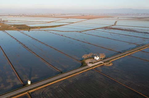 Small farm cottage amidst flooded rice fields in May