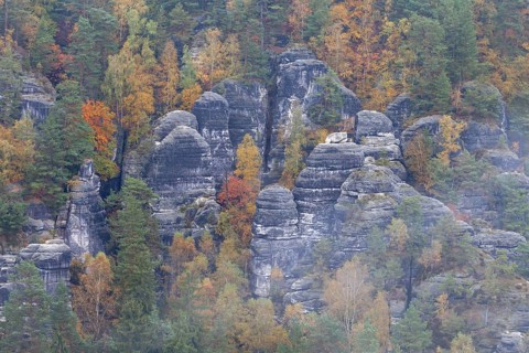 Sandstone rocks in the Bastei area
