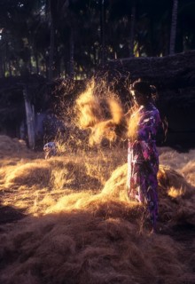 Coconut fibre-Beating & winnowing at Natham