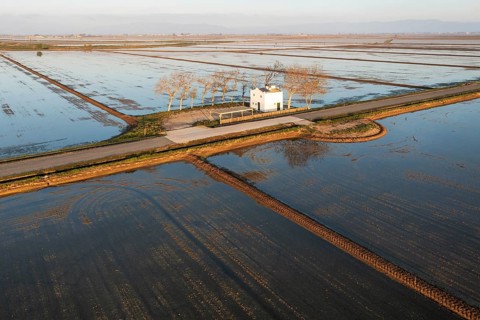 Small farm cottage amidst flooded rice fields in May