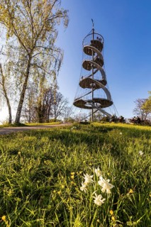 Killesberg Tower in Killesberg Heights Park
