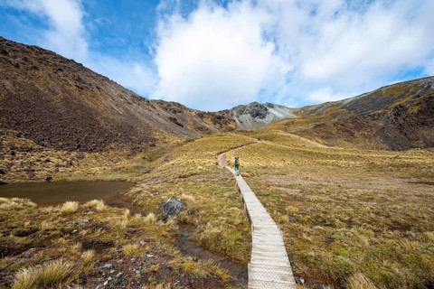 Hikers on trail