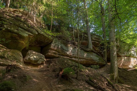 Spruce trees on the rocks in the Schwarzachklamm