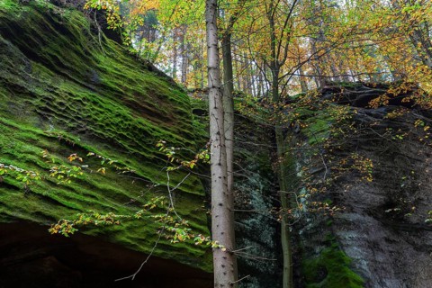 Spitzstein Gorge in the Kirnitzsch Valley