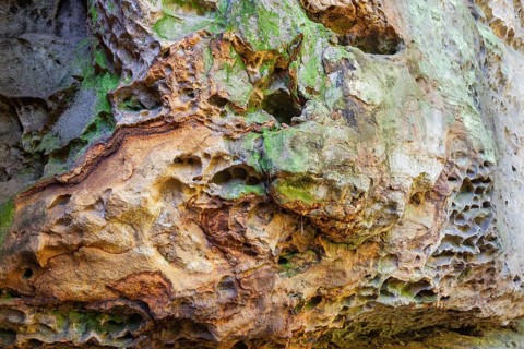 Sandstone rocks in the Polenz Valley