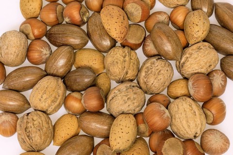 Nuts