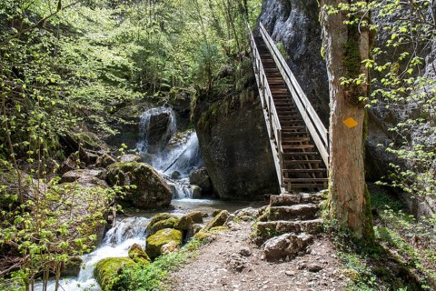 Hiking trail leads over wooden stairs past waterfall