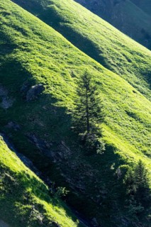 Mountain flank overgrown with grass