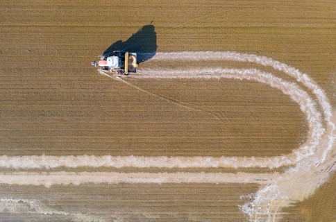 Tractor sowing rice seeds in a flooded rice field in May