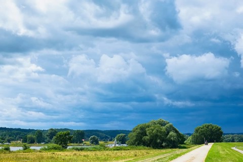 Elbe dyke near Darchau