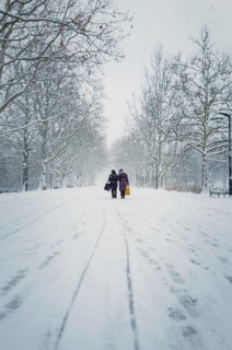 Two middle age women carrying pouches walks through the snowfall alongside the alley in the winter park. Wonderful snowing scene on the street. Cold season beauty. Blizzard in the Rose Valley city squ...
