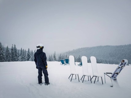 Rear view of a skier on the top of a mountain looking at the snow covered fir forest on the horizon. Snowy winter day