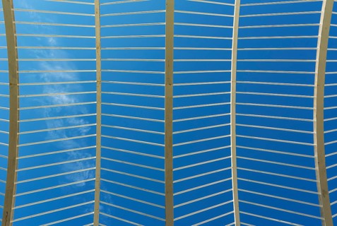 Close-up of canopy of the Umbracle