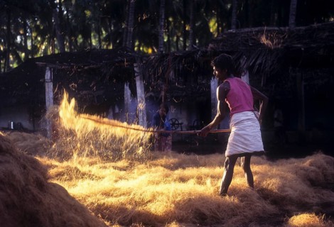 Coconut fibre-Beating & winnowing at Natham