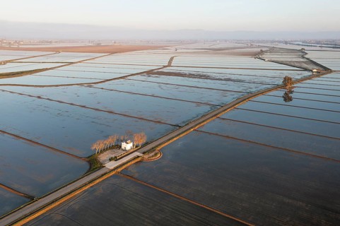 Small farm cottage amidst flooded rice fields in May
