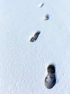 Shoe prints