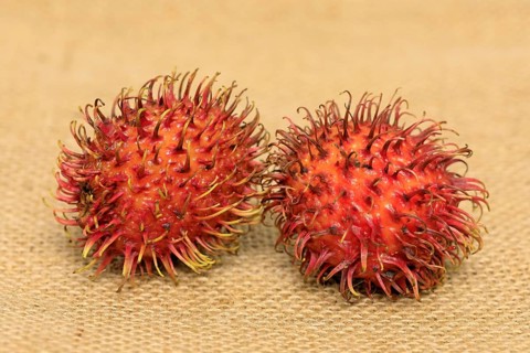 Rambutan (Nephelium lappaceum)