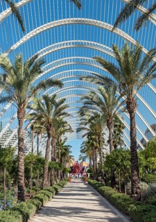 The Umbracle