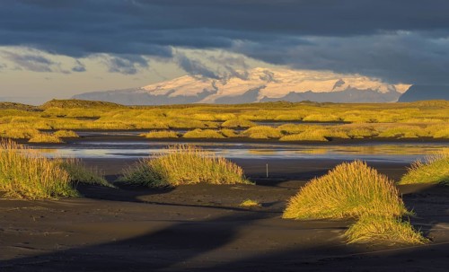 Dune landscape in the morning light