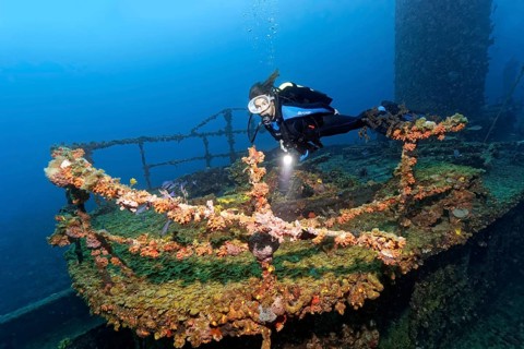 Diver at railing over bridge