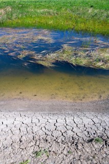 Lower Saxony Elbe floodplain