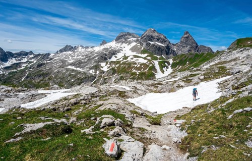 Hiker on hiking trail