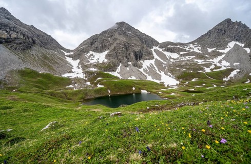 Flower meadow and mountain lake