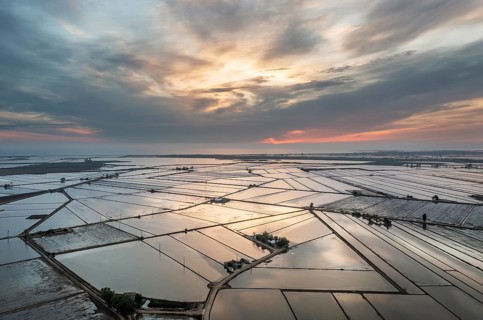 Flooded rice fields in May at daybreak