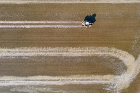 Tractor sowing rice seeds in a flooded rice field in May