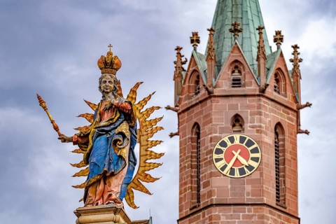 St. Mary's Column on the Market Square and Tower of the Catholic Church of junglefowl (Gallus)