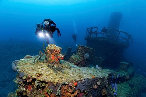 Divers