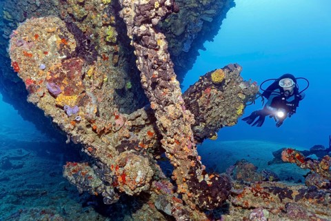Diver looking at propeller and rudder from the wreck of the Virgen de Altagracia