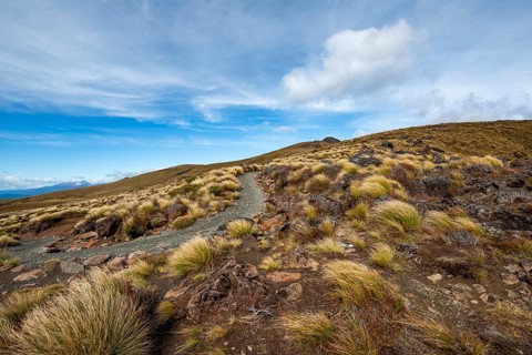 Hiking trail