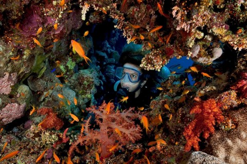 Female diver looking through natural breach into colourful coral reef Sea goldie (Pseudanthias squamipinnis)