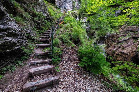Wooden steps through the Tscheppaschlucht