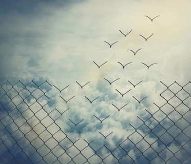 Surreal and magical escape as metallic wire mesh transforming into flying birds above the clouds. Overcoming obstacles together