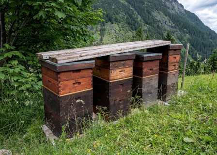 Beehive for honey bees