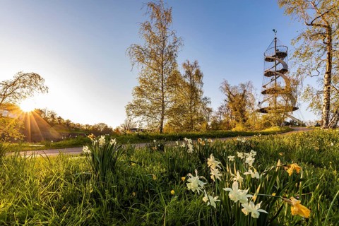 Killesberg Tower in Killesberg Heights Park