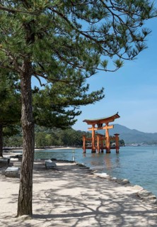 Torii