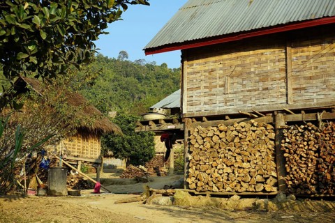 Stilt houses