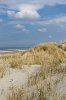Dunes
