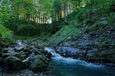 Gaisalpbach near Reichenbach