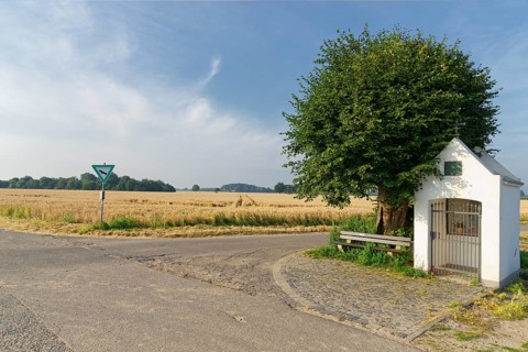 Little chapel with limetree