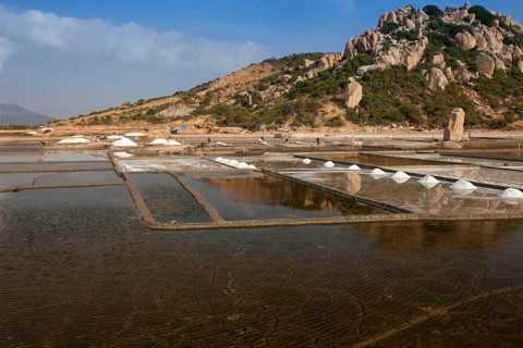Salt fields for salt extraction