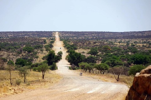 Road C26