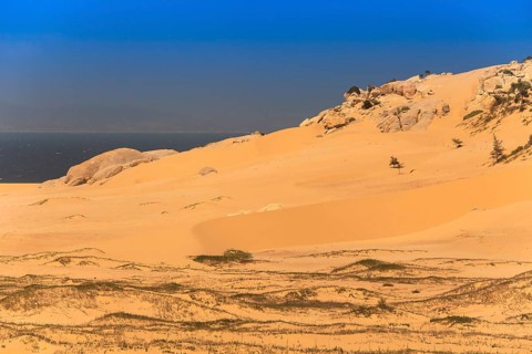 Sand dunes near Phan Rang