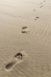 Footprints in the sand