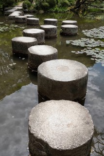Stepping stones in the pond